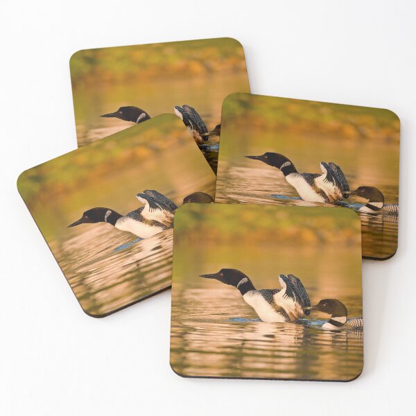 Item preview, Common Loons designed and sold by Loon-Images.