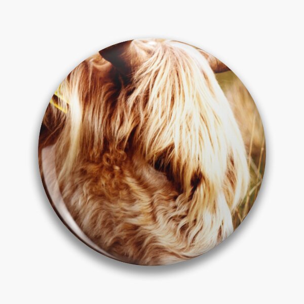 Item preview, Grazing welsh catte designed and sold by Mangell-photos.