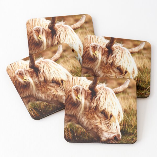 Item preview, Grazing welsh catte designed and sold by Mangell-photos.