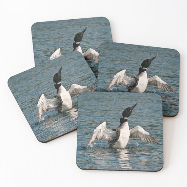 Item preview, Common Loon designed and sold by Loon-Images.
