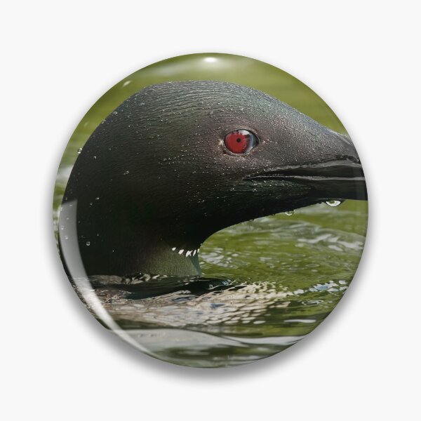 Item preview, Common Loon designed and sold by Loon-Images.