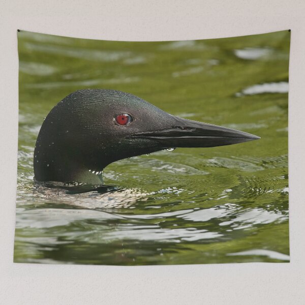 Item preview, Common Loon designed and sold by Loon-Images.