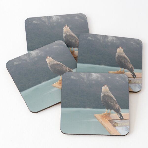 Item preview, Bird in the Perito Moreno National Park | Nature Travel Photography designed and sold by julidescole.