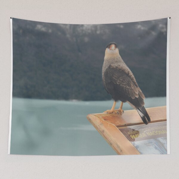 Item preview, Bird in the Perito Moreno National Park | Nature Travel Photography designed and sold by julidescole.
