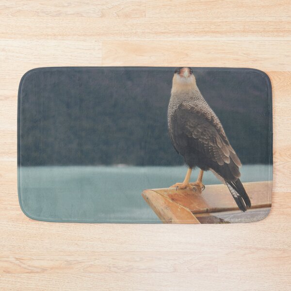 Item preview, Bird in the Perito Moreno National Park | Nature Travel Photography designed and sold by julidescole.