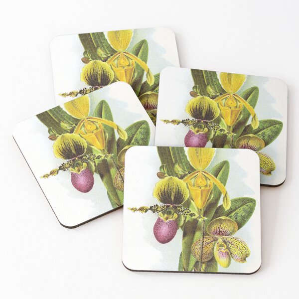 Item preview, Vintage Botanical Prints - Cypripediums from The gardener's assistant (1907) designed and sold by Douglas E. Welch Design and Photography.