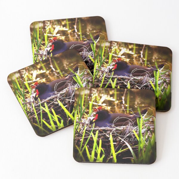 Item preview, moorhen designed and sold by Mangell-photos.