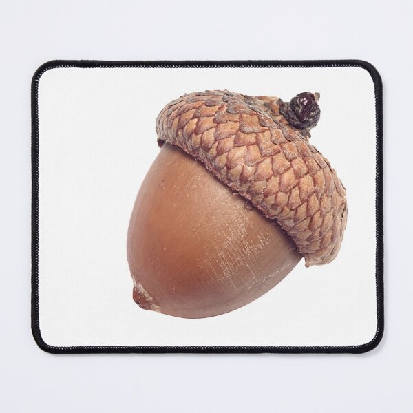 Item preview, acorn, fall folliage, autumn, tree, squirrel designed and sold by Nostrathomas66.