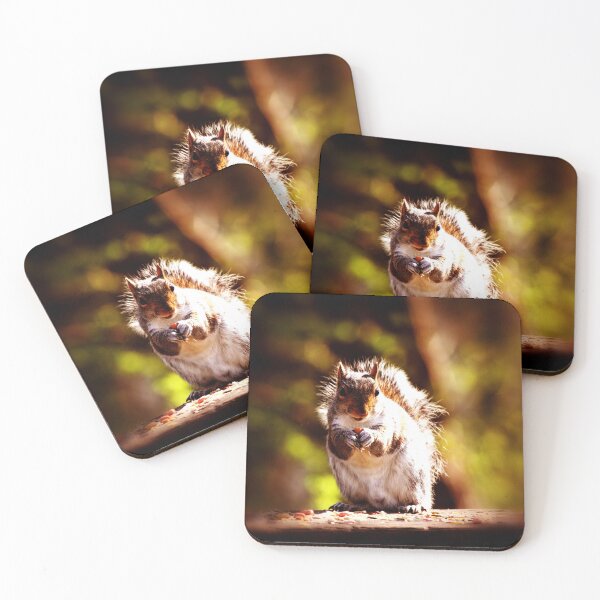 Item preview, Eating squirrel designed and sold by Mangell-photos.