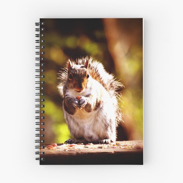 Item preview, Eating squirrel designed and sold by Mangell-photos.