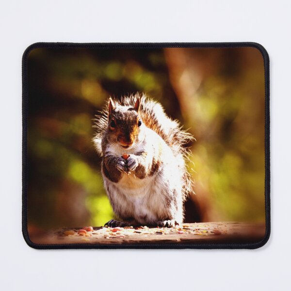 Item preview, Eating squirrel designed and sold by Mangell-photos.