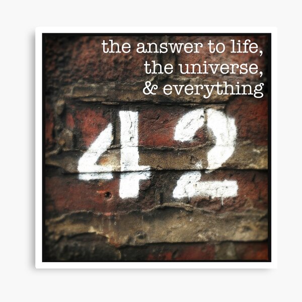 42 - The Meaning of Life Canvas Print