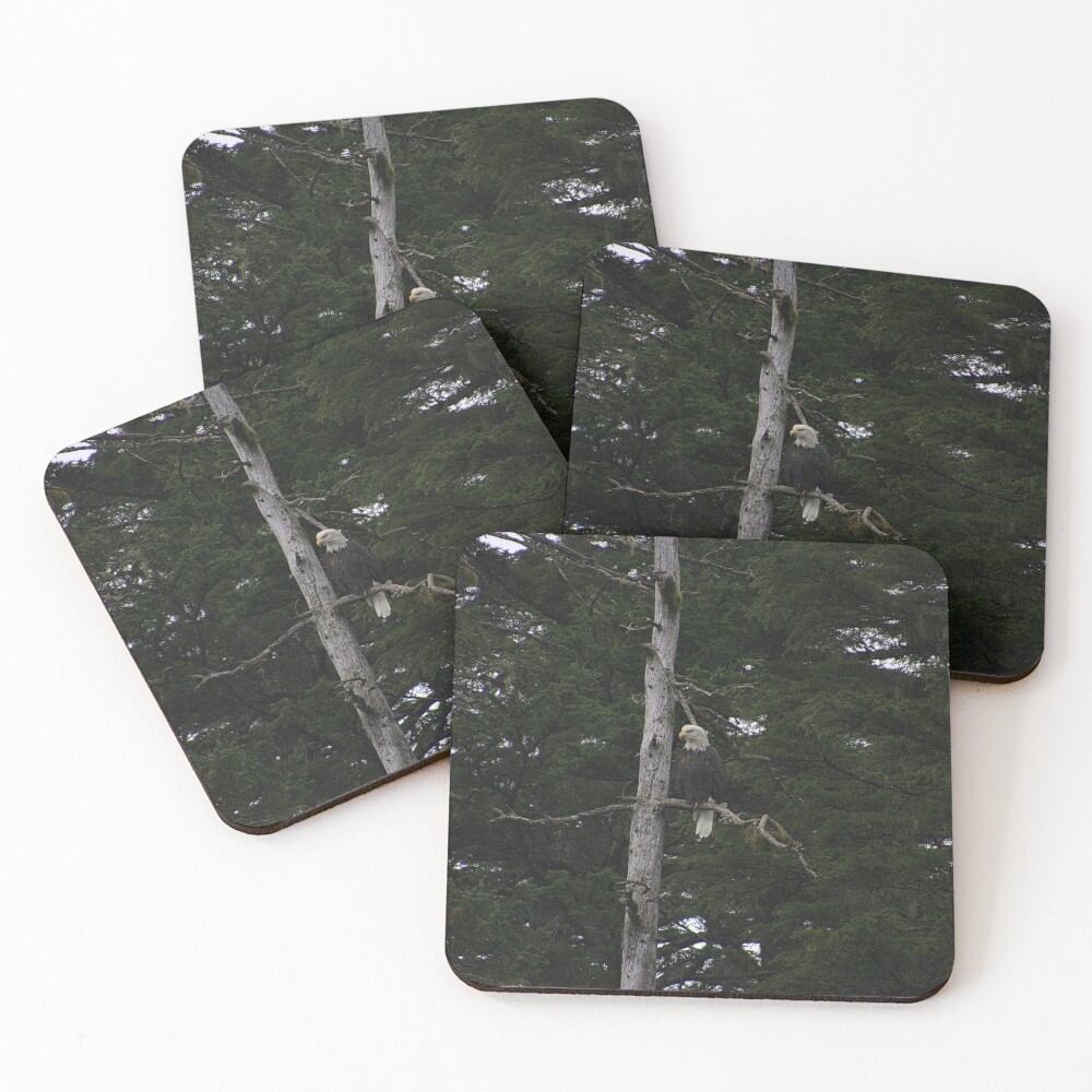 Item preview, Coasters (Set of 4) designed and sold by RScaptor.