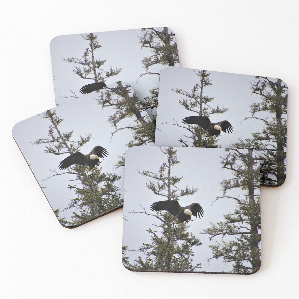 Item preview, Coasters (Set of 4) designed and sold by RScaptor.