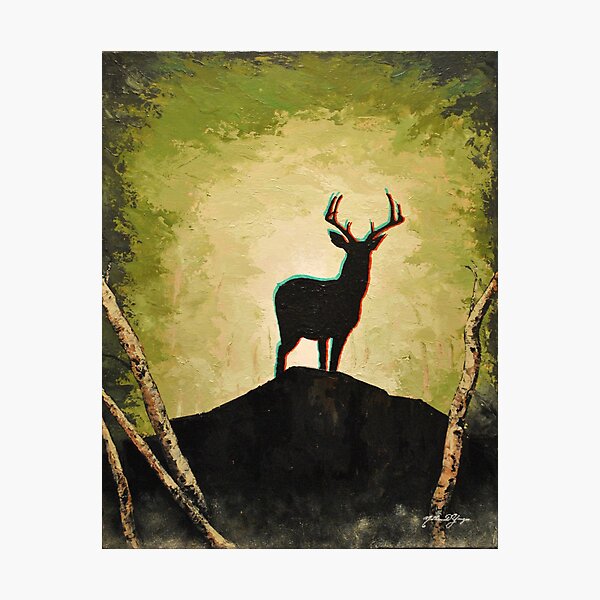 Deer in the Woods Photographic Print