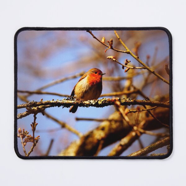 Item preview, Robin designed and sold by Mangell-photos.