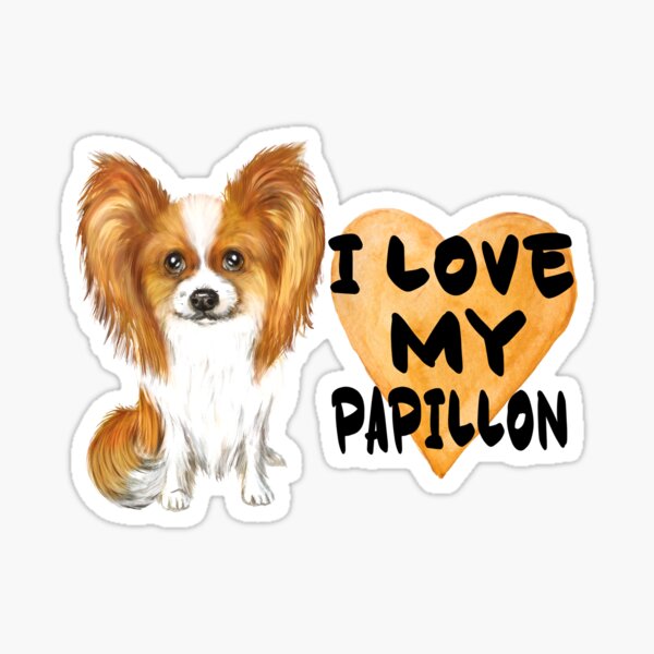 24 pcs Papillon Stickers Muraux, CAYUDEN Decoration Papillon