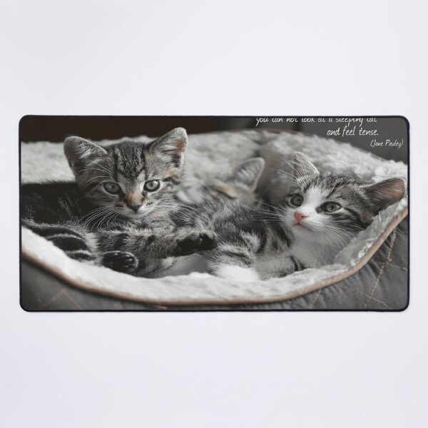 Two kittens resting Desk Mat