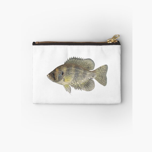 Item preview, Flier (Centrarchus macropterus) designed and sold by LeakyCanoeArt.
