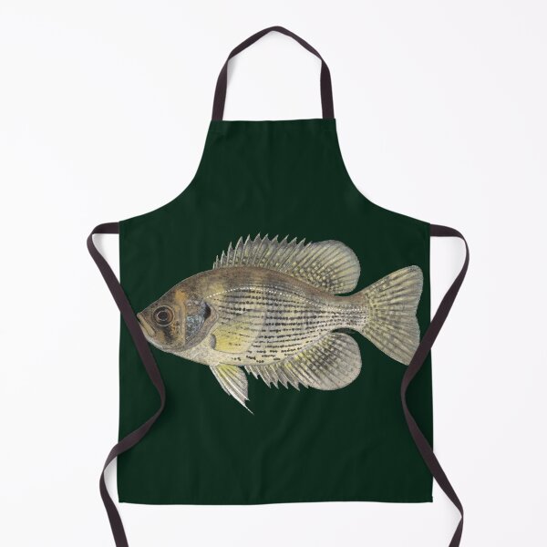 Item preview, Flier (Centrarchus macropterus) designed and sold by LeakyCanoeArt.