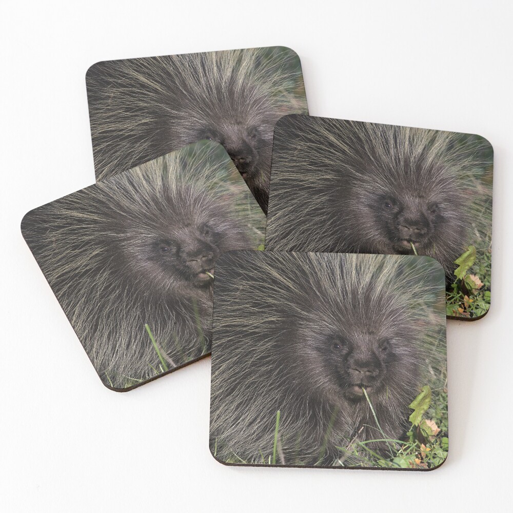 Item preview, Coasters (Set of 4) designed and sold by RScaptor.