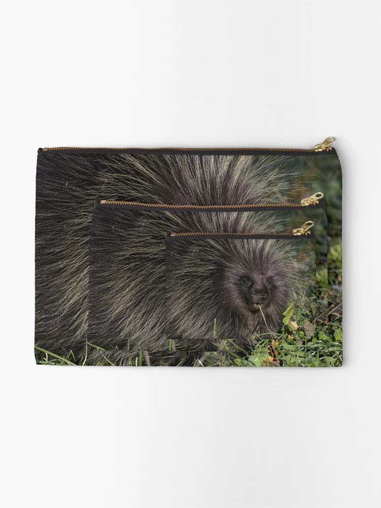 Thumbnail 2 of 4, Zipper Pouch, Snack Time designed and sold by Ryan Stephens.
