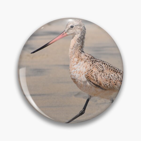 Item preview, Marbled Godwit Photo designed and sold by LauraWolfArtist.