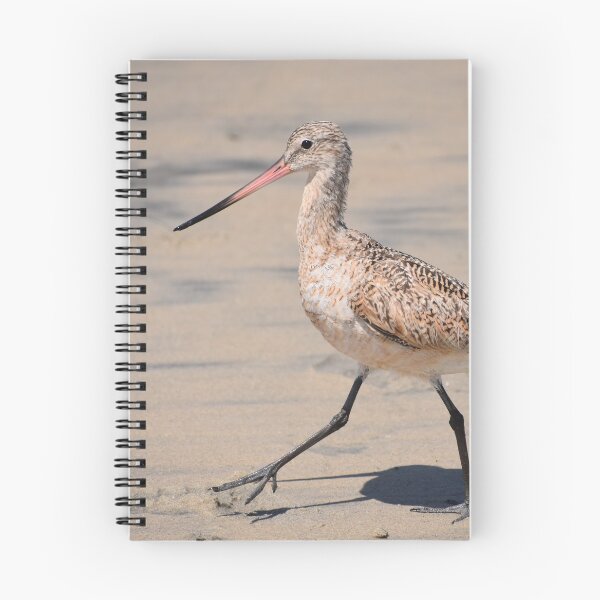 Item preview, Marbled Godwit Photo designed and sold by LauraWolfArtist.