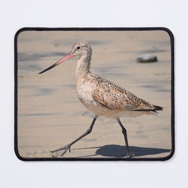 Item preview, Marbled Godwit Photo designed and sold by LauraWolfArtist.