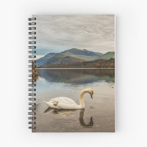 Item preview, Snowdon Swan designed and sold by LluniauDafyddEm.