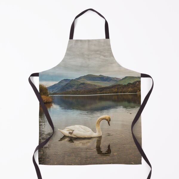 Item preview, Snowdon Swan designed and sold by LluniauDafyddEm.