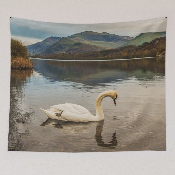 Item preview, Snowdon Swan designed and sold by LluniauDafyddEm.