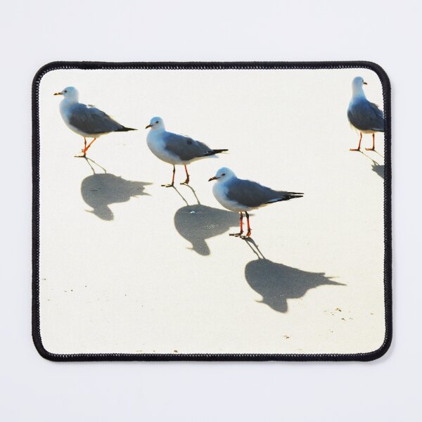 Item preview, Seagulls, Sun & Shadows designed and sold by Barbara Burkhardt.