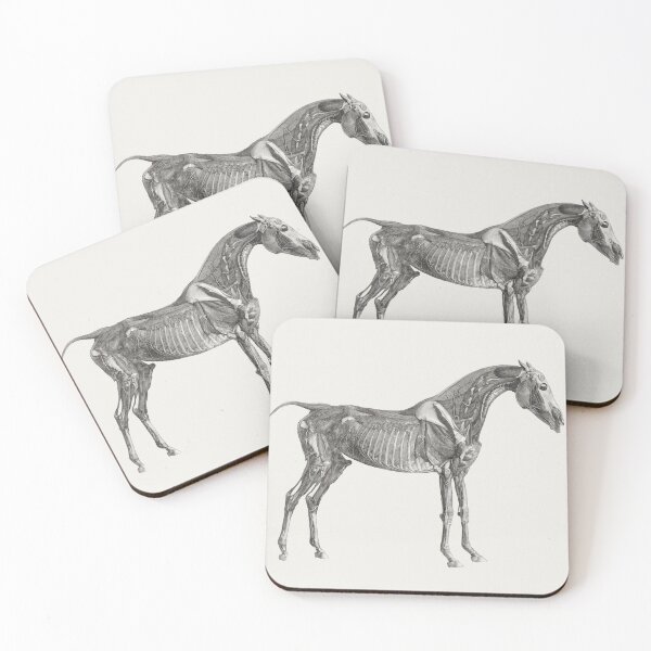 Item preview, The anatomy of the horse (1853) print in high resolution by George Stubbs. Original from The Yale University Art designed and sold by Badmoviesrus.