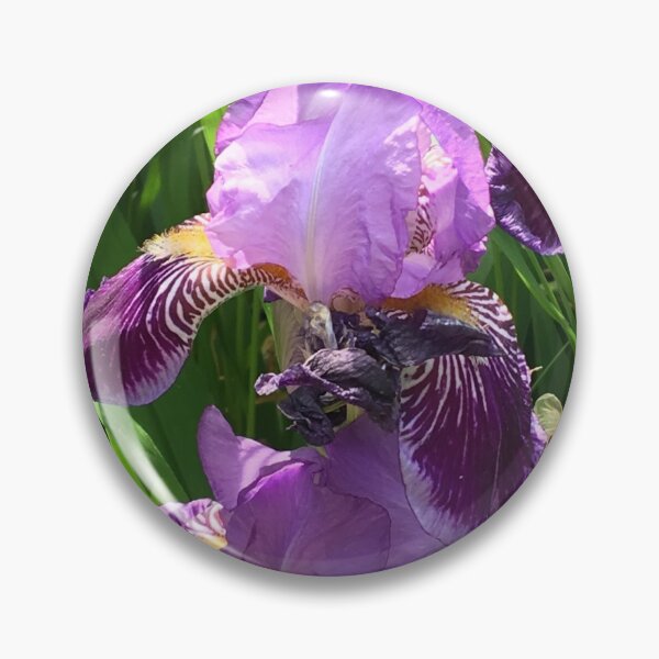 Artikelvorschau, lila Iris entworfen und verkauft von floresenlaarena.