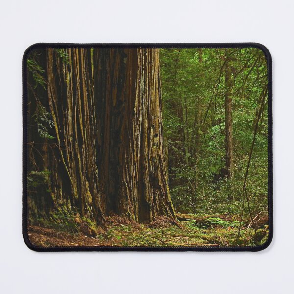 Item preview, Ancient Redwoods designed and sold by Barbara  Brown.