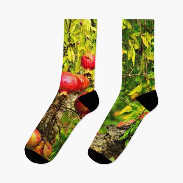 Item preview, Pomegranate Tree Ripe Fruit  designed and sold by worldways.