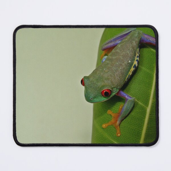 Item preview, Red Eyed Tree Frog designed and sold by insight.