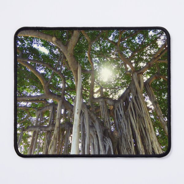 Item preview, Tree of Life designed and sold by LeRoyM.