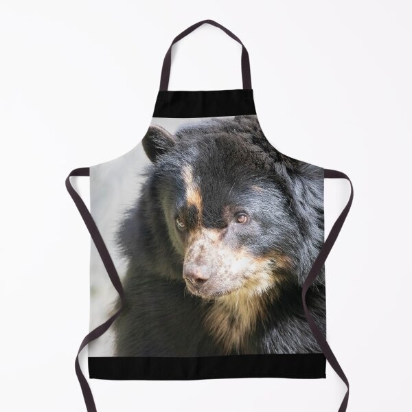 Item preview, Brienne the Andean Bear at the National Zoo designed and sold by Zoo and Nature Photography by Karie.