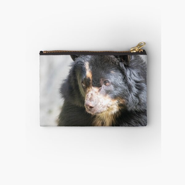 Item preview, Brienne the Andean Bear at the National Zoo designed and sold by Zoo and Nature Photography by Karie.