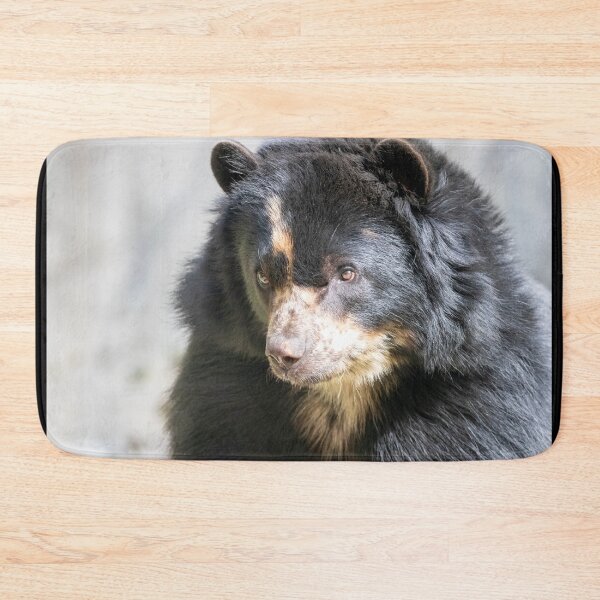 Item preview, Brienne the Andean Bear at the National Zoo designed and sold by Zoo and Nature Photography by Karie.