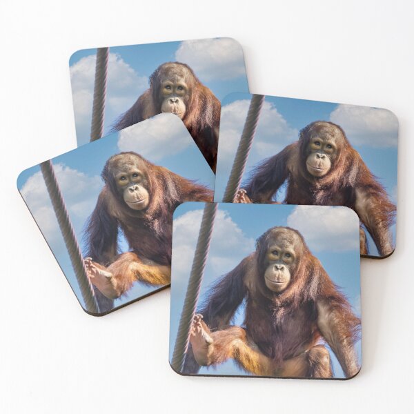 Item preview, Redd the Orangutan at the National Zoo designed and sold by Zoo and Nature Photography by Karie.