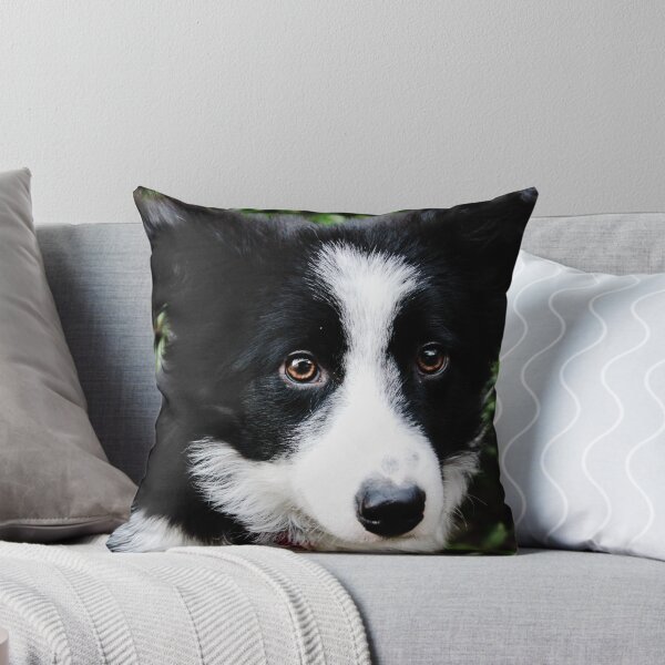 Artikelvorschau, Teddy der Border Collie Welpe entworfen und verkauft von thegreendogs.