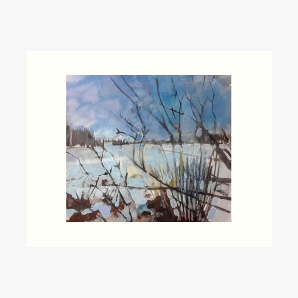 Pelican Lake Art Print