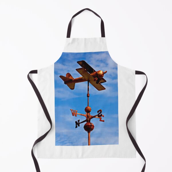 Item preview, Biplane weather vane designed and sold by Garry Gay.