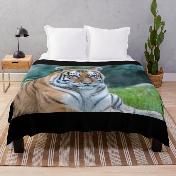 Item preview, Nikita the Amur Tiger at the National Zoo designed and sold by Zoo and Nature Photography by Karie.