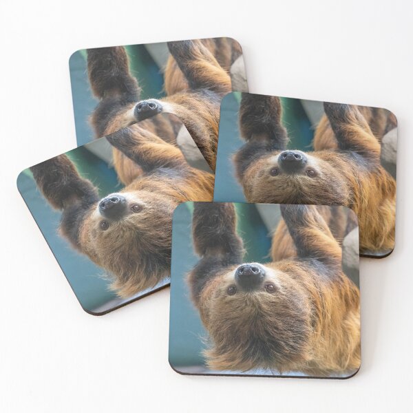 Item preview, Vlad the Sloth at the National Zoo designed and sold by Zoo and Nature Photography by Karie.