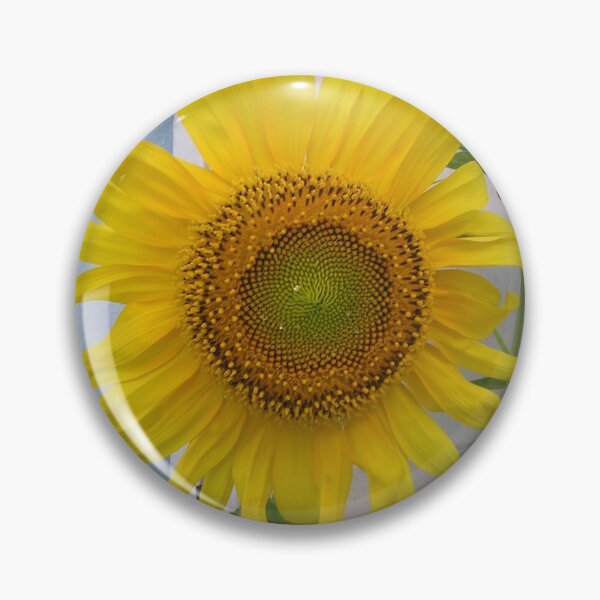 Artikelvorschau, Indigo Bahamas Größte Sonnenblume wie je zuvor.... entworfen und verkauft von SaSaBoutique.