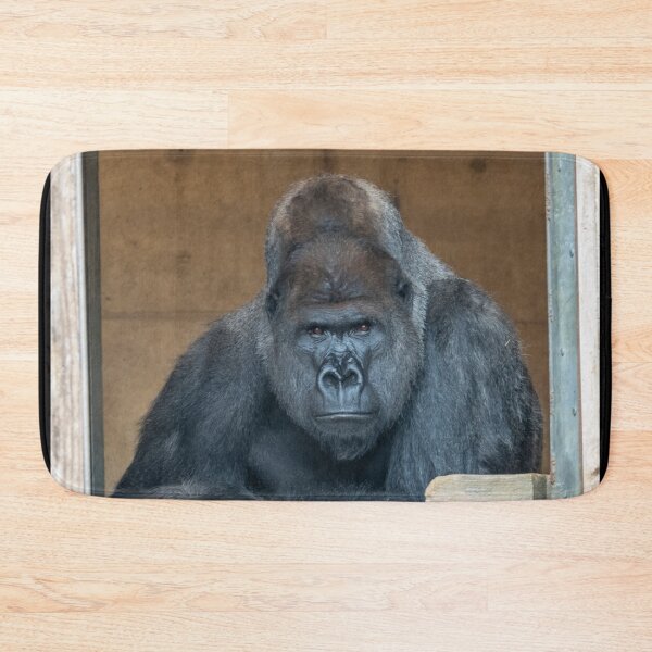 Artikelvorschau, Gorilla Baraka im National Zoo entworfen und verkauft von Zoo and Nature Photography by Karie.